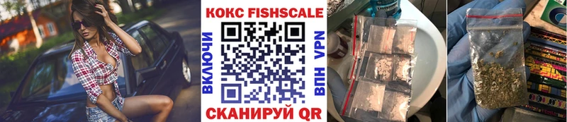 Cocaine Fish Scale  OMG ССЫЛКА  Владимир 