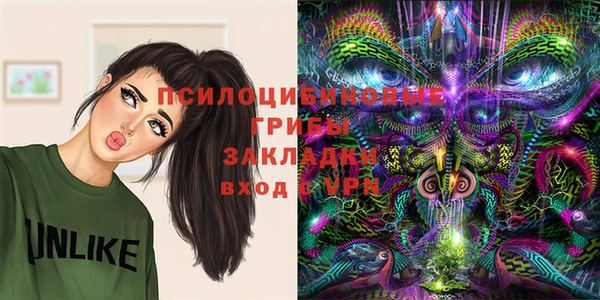 ГАЛЛЮЦИНОГЕННЫЕ ГРИБЫ Алексин