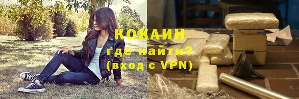 стафф Алзамай