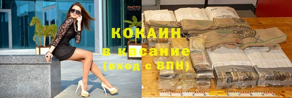 стафф Алзамай