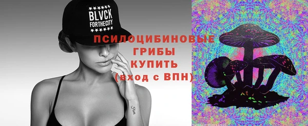 стафф Алзамай