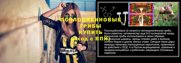 ГАЛЛЮЦИНОГЕННЫЕ ГРИБЫ Алексин
