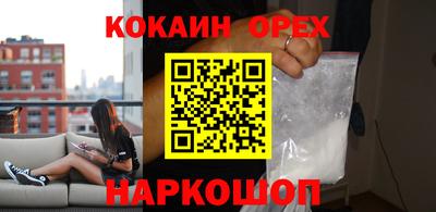 гашик Боровичи