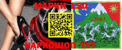 гашик Боровичи