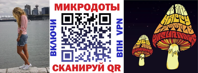 ссылка на мегу tor  Владимир  Псилоцибиновые грибы MAGIC MUSHROOMS  где купить наркотик 