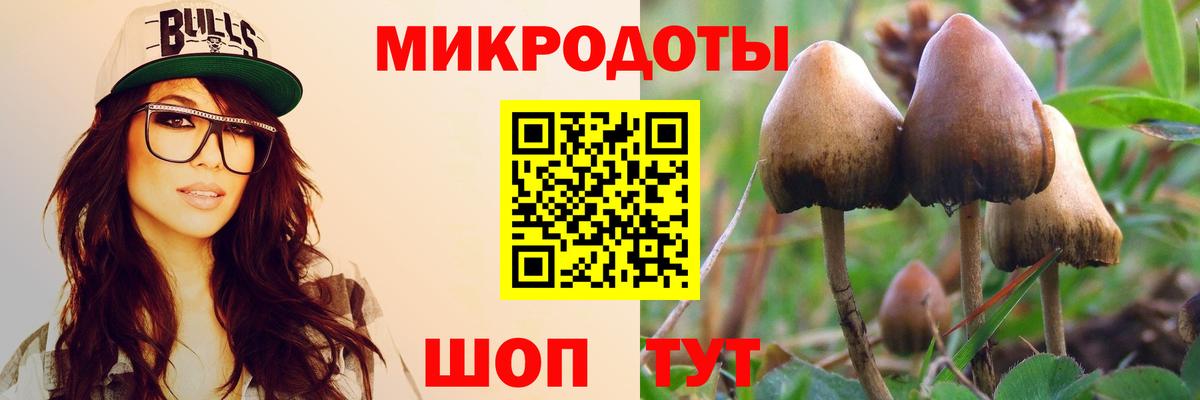Псилоцибиновые грибы ЛСД Владимир